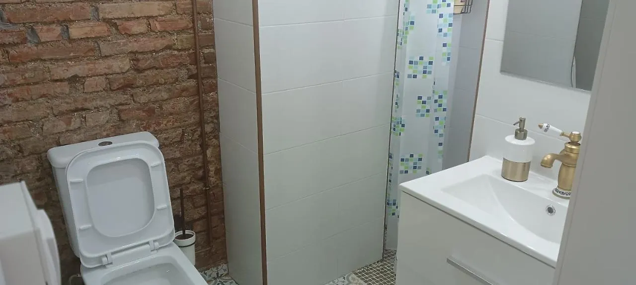 Apartmán Fernando El Catolico Premium Màlaga 0*,  Španělsko